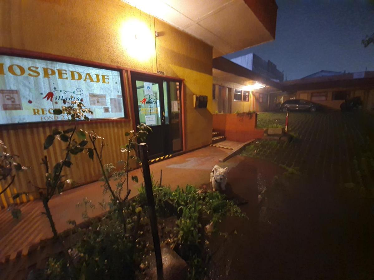 Hospedaje Millantúe Osorn Osorno Exterior foto