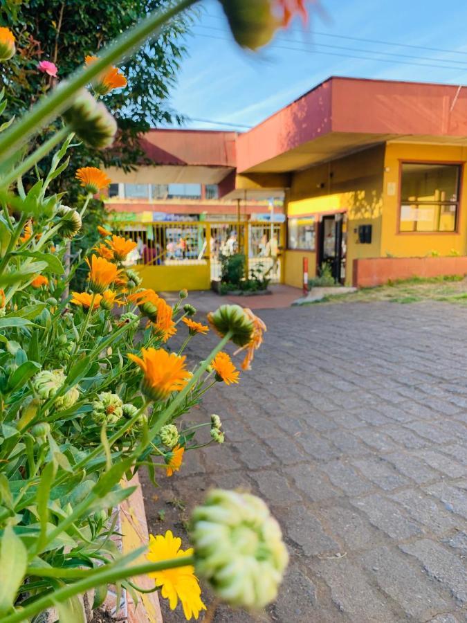 Hospedaje Millantúe Osorn Osorno Exterior foto